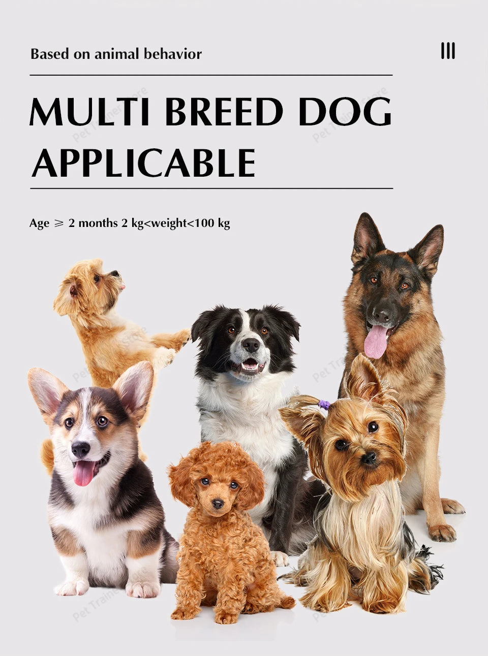 2 In 1 Electric Pet Wireless Fence Dog Training Collar Anti Runaway Up to 3 Dogs Outdoor Pet Containment Rechargeable System